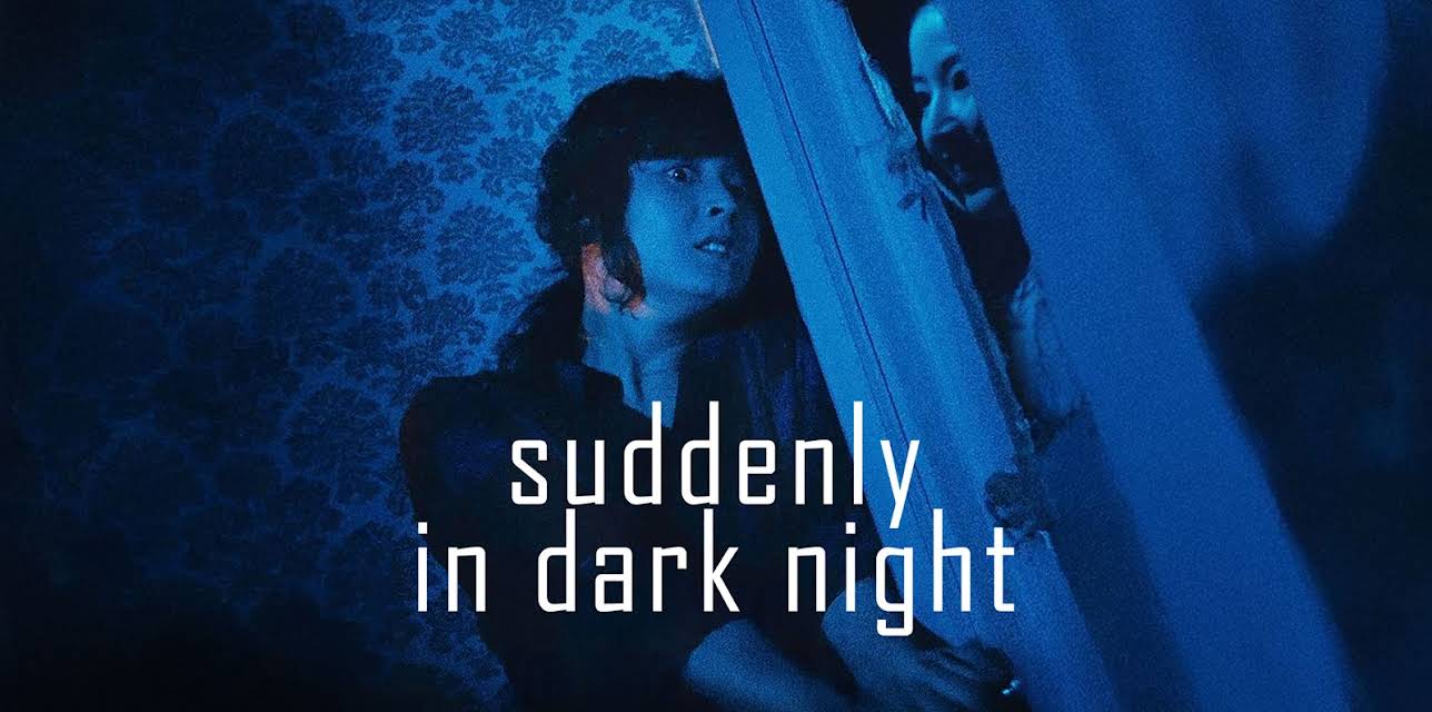Suddenly In Dark Night (1981)