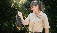 Crikey! It's the Irwins (S2 E5)