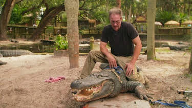 8:30 AM: How Do Animals Do That? (S1) | Discovery Channel | 4/4 2026