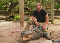 How Do Animals Do That?