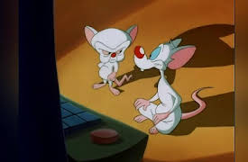 Steven Spielberg Presents Pinky and the Brain: The Complete First Volume: Plain Brain from Outer Space