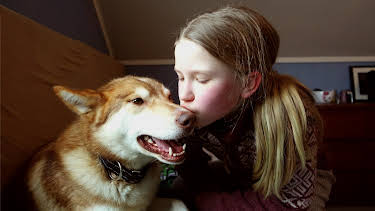 18:20: Dyrevenn: Hundekjøreren Erle | NRK Tegnspraak | 4/20 2026