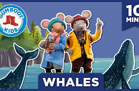 The Gumboot Kids: Whales
