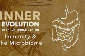 Inner Evolution: Immunity & the Microbiome