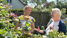 rbb Gartenzeit