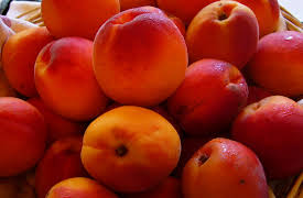 French delicatessen: Apricots from roussillon