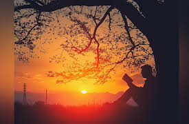 Becoming a Great Essayist: Essayists as Poets: Tapping into Imagery