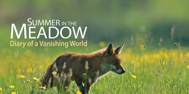 Summer in the Meadow: Diary of a Vanishing World (2018)