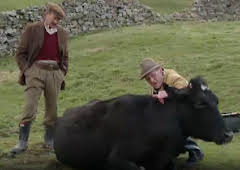 All Creatures Great and Small