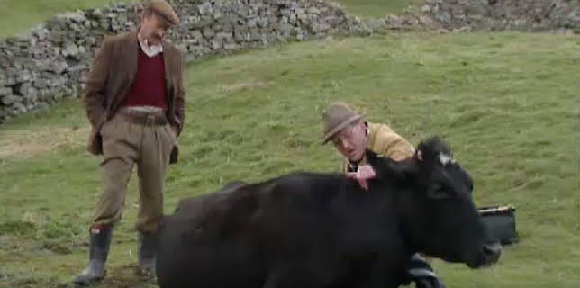 11:40 PM: All Creatures Great and Small (S7) | BBC Four | 11/29 2025