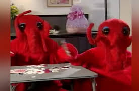 The Amanda Show Season 1: Episode 102