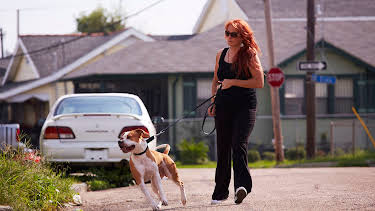 06:00: Pit Bulls & Parolees (S4 E13) (S4) | Animal Planet | 5/30 2026
