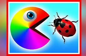 Mr. Chomp: Mr. Chomp explores the city.