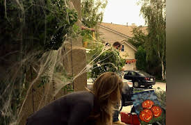 FlashForward Season 1: Gimme Some Truth