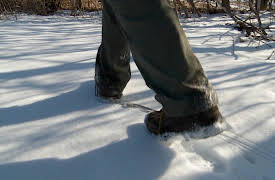 MeatEater: Big Bucks and Small Game: Wisconsin Whitetail Deer