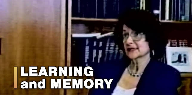 Learning and Memory (2025)
