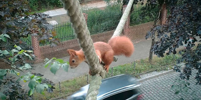 20:20: Abenteuer Erde | SWR Fernsehen RP | 3/8 2026