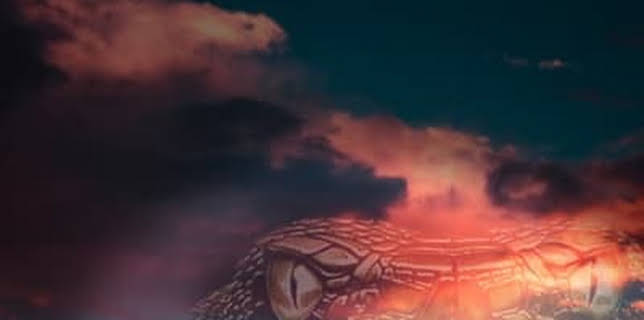 The Irula of Tamil Nadu (2003)