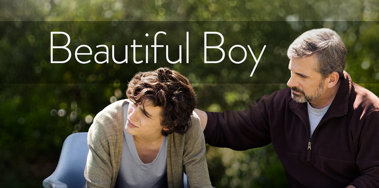 Beautiful Boy (2019)