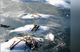 Return of the Bible Plagues: Deadly Waters