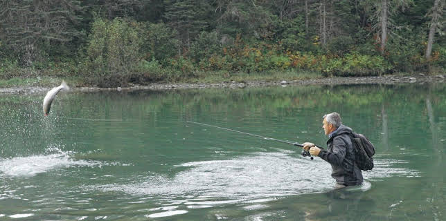 10:50: Giganten unter Wasser - Riesenfischen auf der Spur | Kabel Eins Doku | 12/5 2025