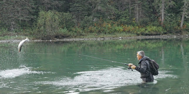 Giganten unter Wasser - Riesenfischen auf der Spur
