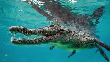 22:00: Die Karibik | HR Fernsehen | 11/21 2025