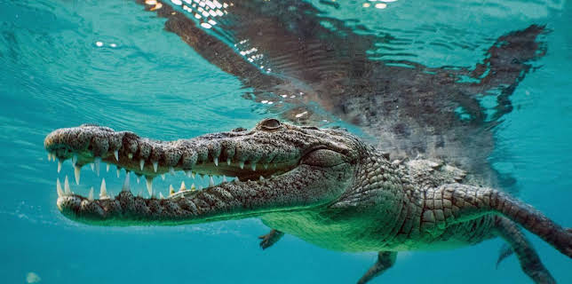 21:00: Die Karibik | HR Fernsehen | 11/21 2025