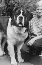 Christopher Castile as 