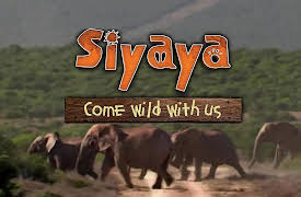 Siyaya – Come Wild With Us: Search for the Big Seven Part 2: The Big Ones