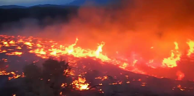 Years of Living Dangerously