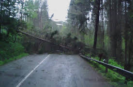 History's Most Shocking Season 1: The Hindenburg Disaster, Pilot's Ejection Fail, When Trees Attack & Stuck in a Cave