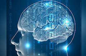 Outsmart Yourself: Brain-Based Strategies to a Better You: Take Control of Your Automatic Brain