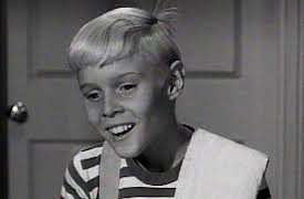 Dennis The Menace, Season Two: Dennis' Penny Collection