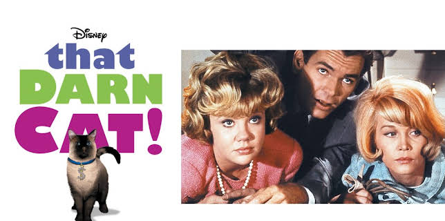That Darn Cat! (1965)