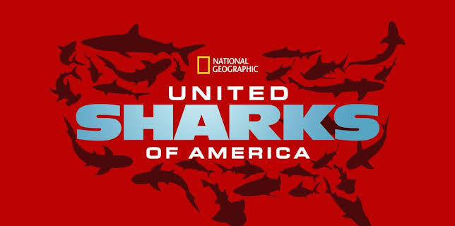 United Sharks of America (2015)