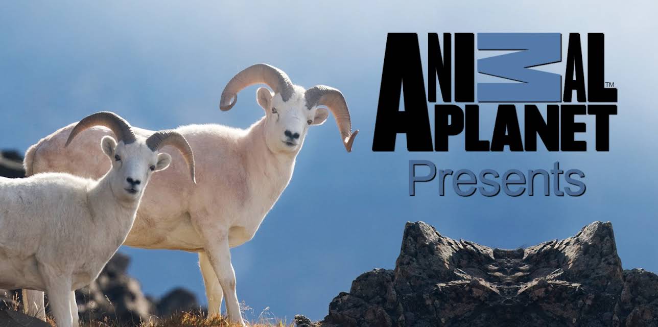 Animal Planet Presents Season 1
