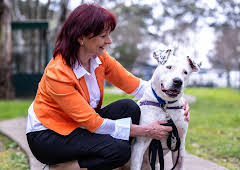 The Dog House Australia