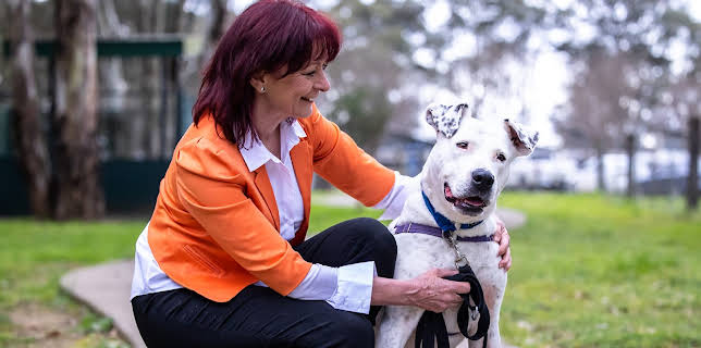 6:50 PM: The Dog House Australia | More 4 | 3/16 2026