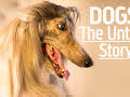 Dogs: The Untold Story