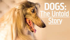 Dogs: The Untold Story (S1 E2)