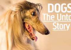 Dogs: The Untold Story