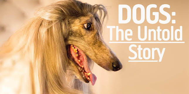 17:00: Dogs: The Untold Story (S1 E1) (S1) | Animal Planet | 11/3 2025