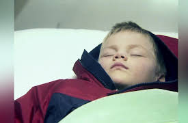 Life Or Death: Mystery Bug