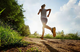 Gut Health Explained: The Gut-Muscle Axis and Exercise