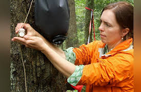 Outdoor Fundamentals: Everything You Need to Know to Stay Safe: Hygiene on a Camping Trip