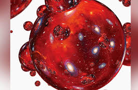 The Big Bang and Beyond: Exploring the Early Universe: The Future of Early Universe Cosmology