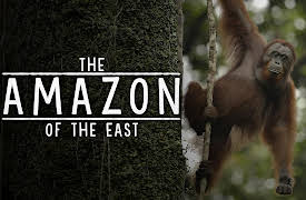 The Amazon of the East: Balancing the Scales