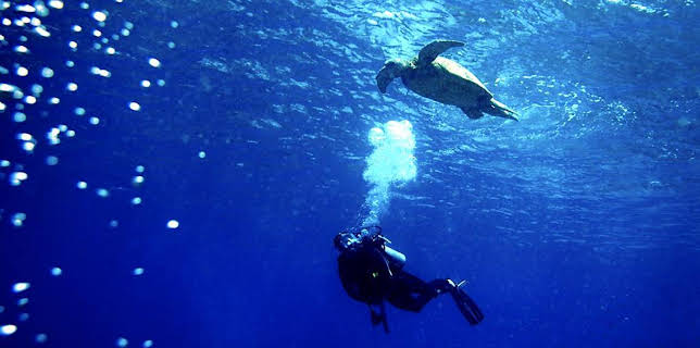 10:05 AM: Deadly 60 (S1) | CBBC | 12/3 2025