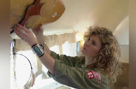 Junk Gypsies, Season 3: Green Day Airstream